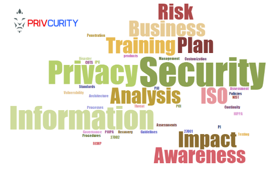privcurity word-cloud